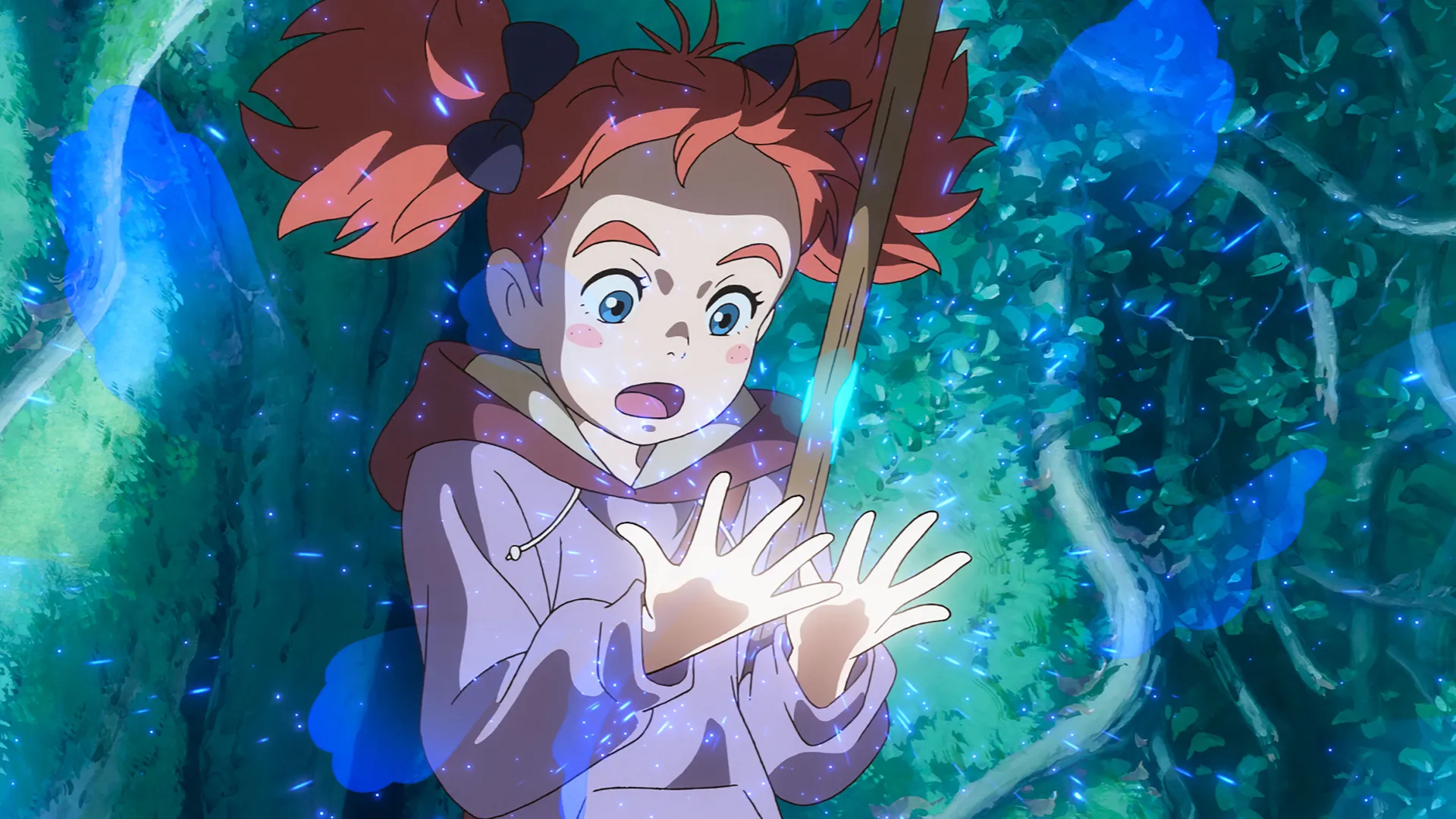 Mary and the Witch's Flower