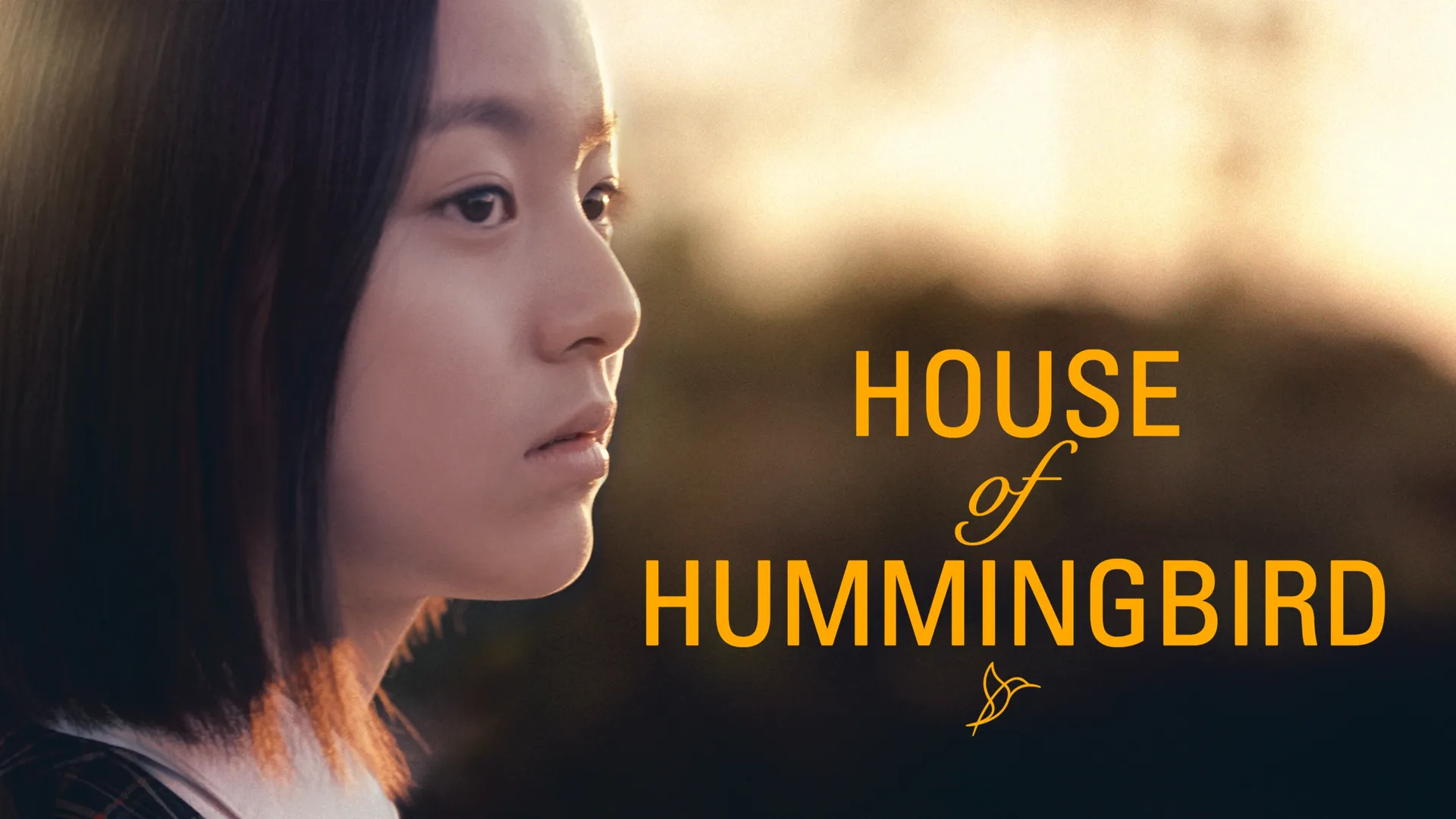 House of Hummingbird